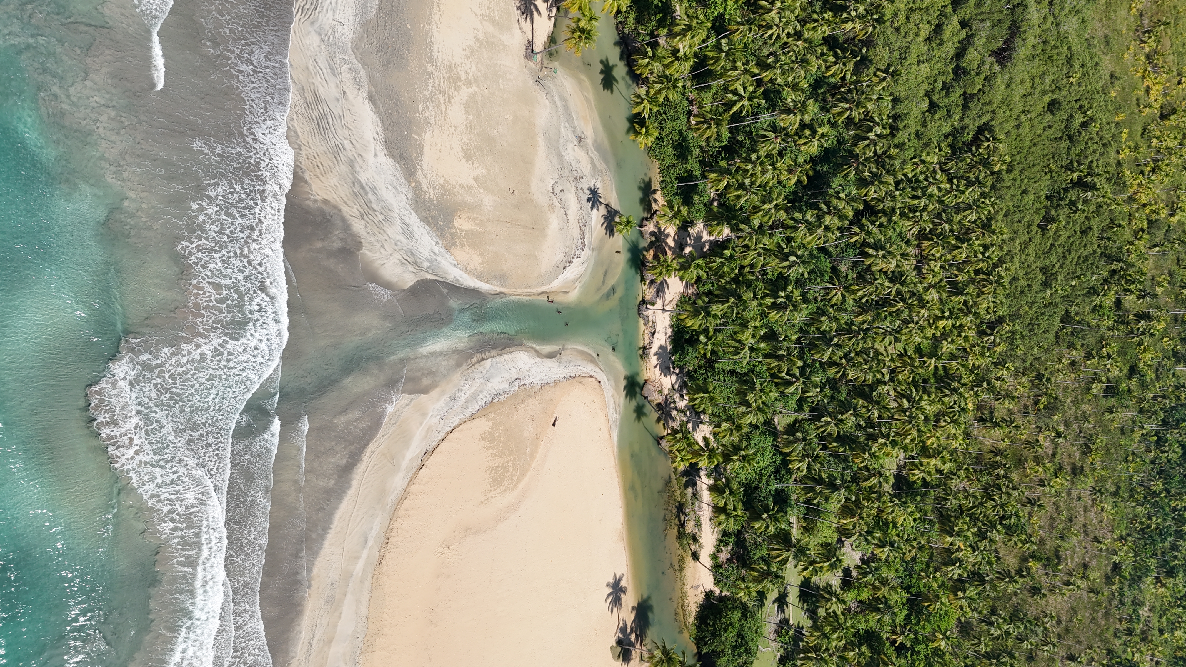Experience the Best Views of Playa Cosón