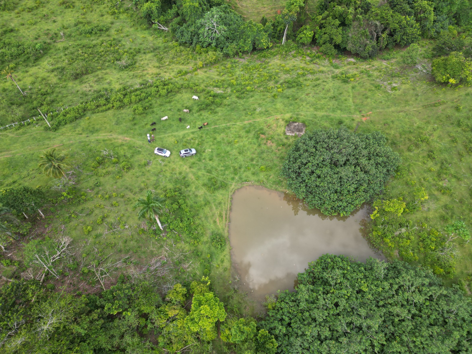 Eco Development Opportunity — Large-Scale Land with Infrastructure in La Guázara