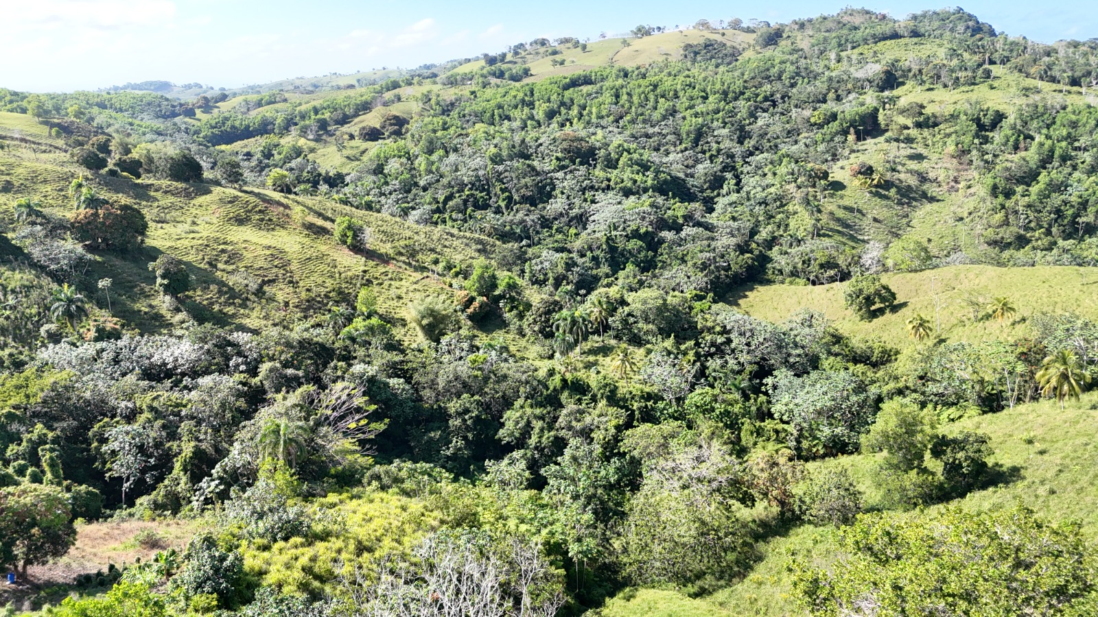 It’s 350 titled tareas, approximately 54.5 acres, in Juana Vicenta, Samaná, with a river crossing the property.