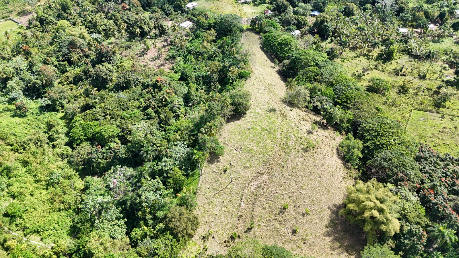 11,445 m² land located in El Limón, just 5 minutes by car from Playa Morón