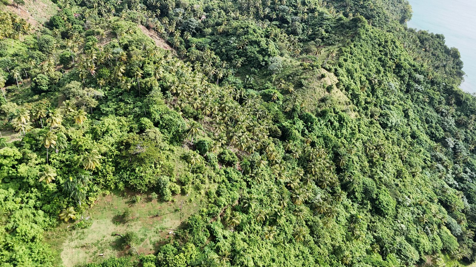 This is not just a piece of land.