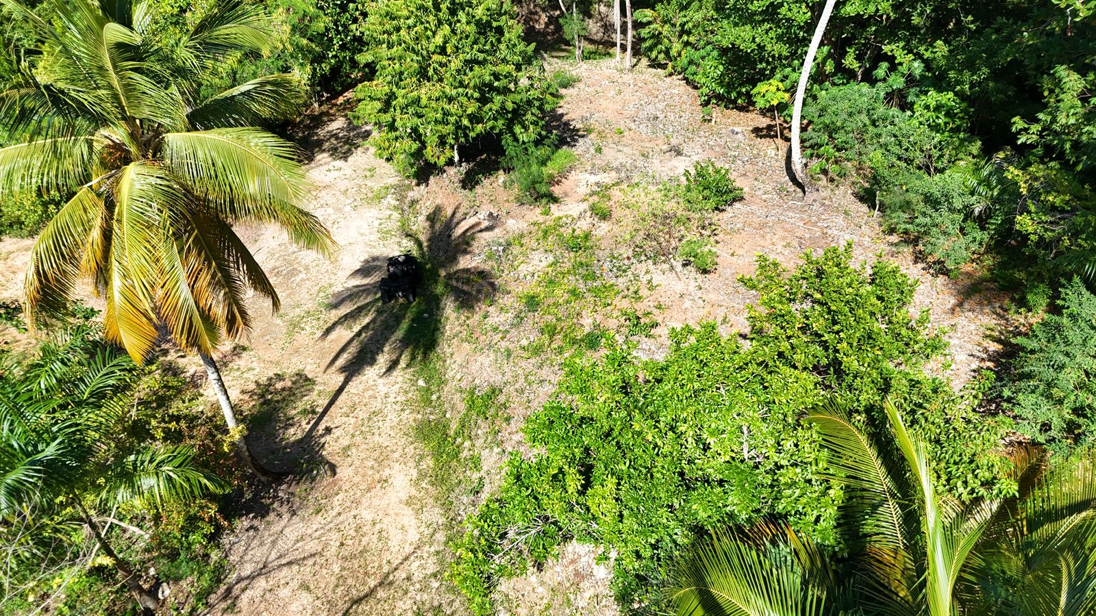 2,315 m² lot in Cosón