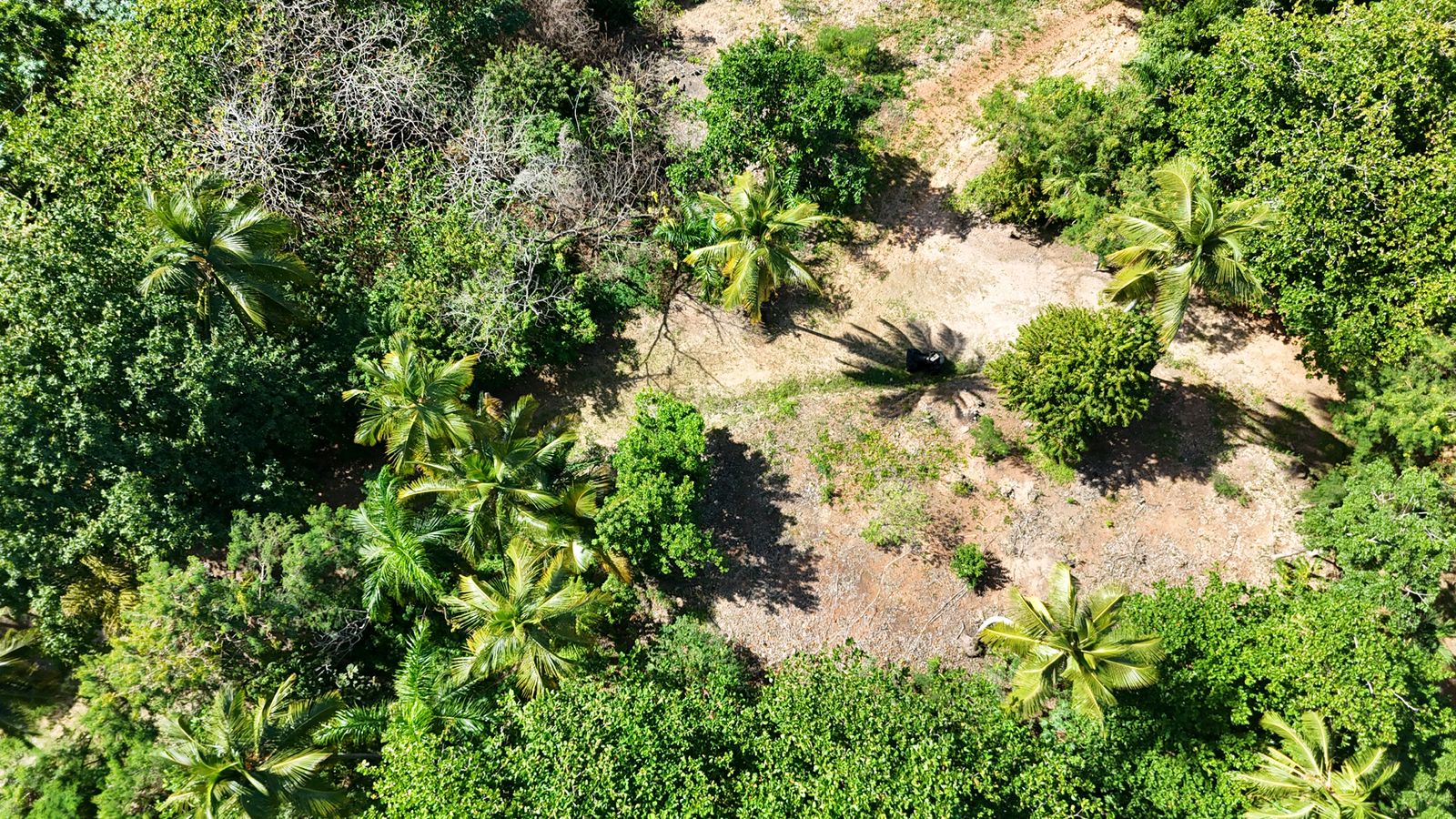 2,315 m² lot in Cosón