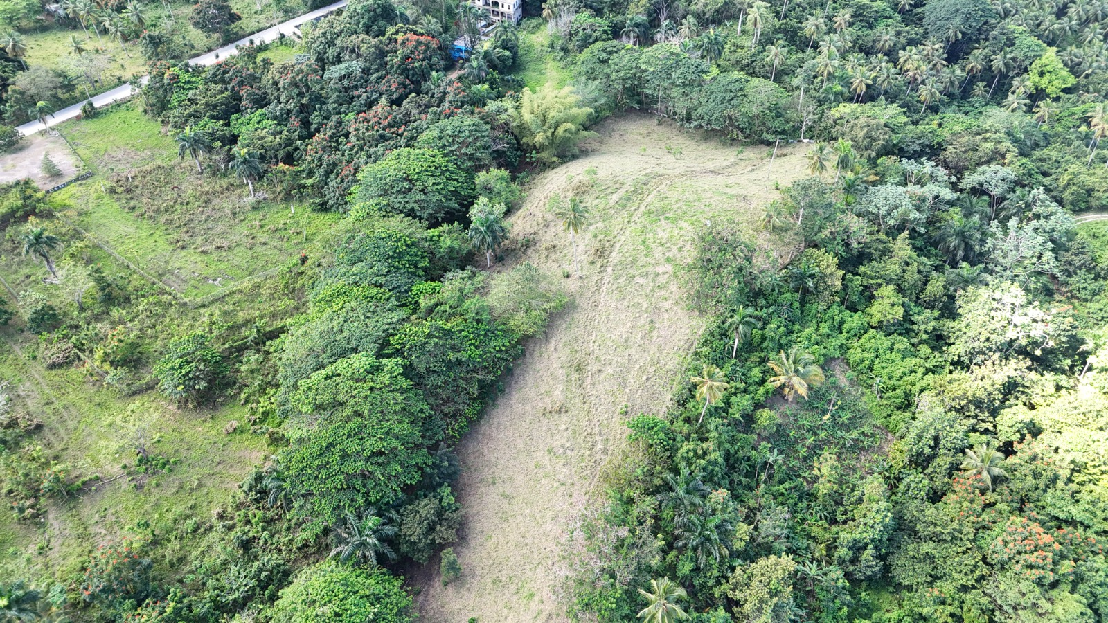 11,445 m² land located in El Limón, just 5 minutes by car from Playa Morón