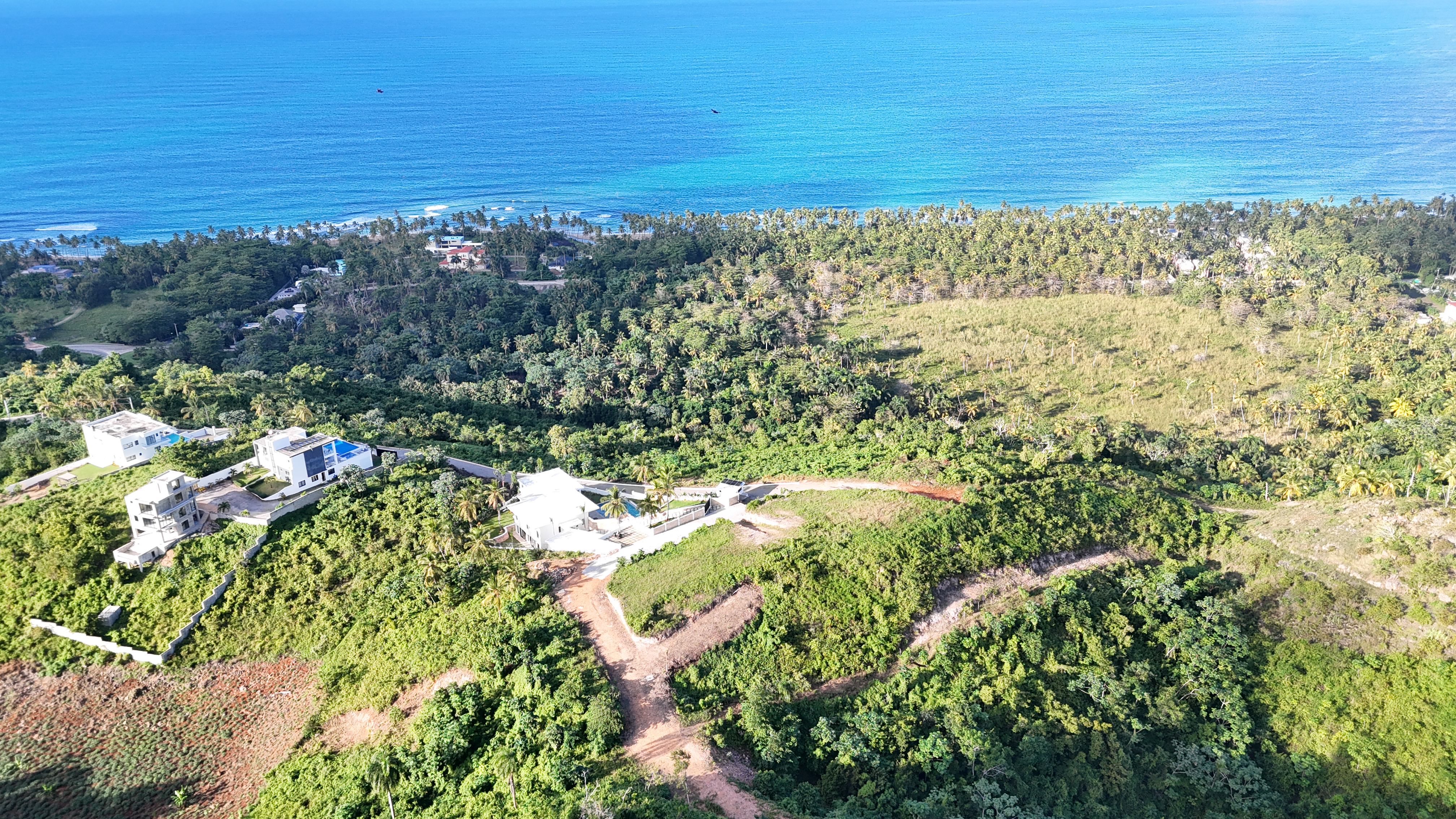 Experience the Best Views of Playa Cosón