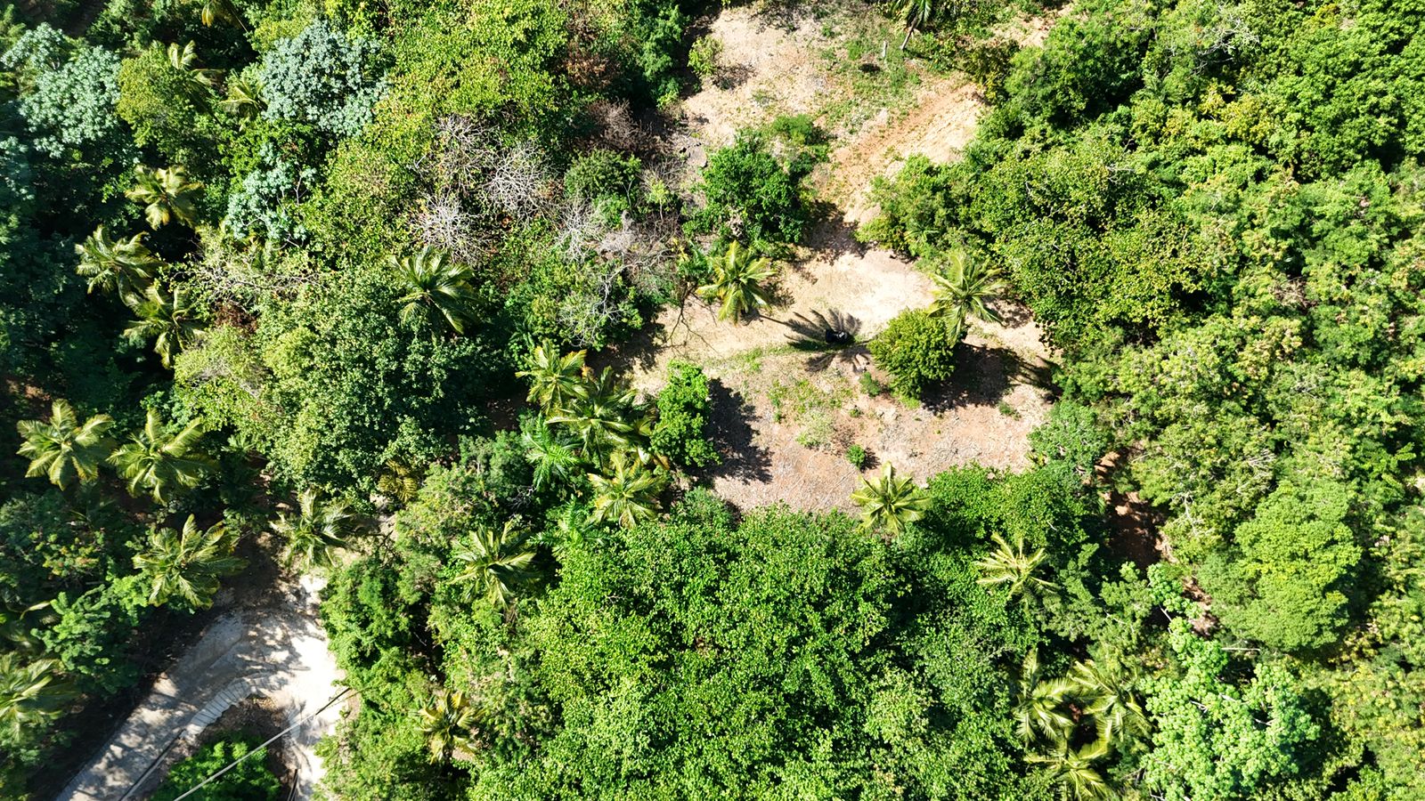 2,315 m² lot in Cosón