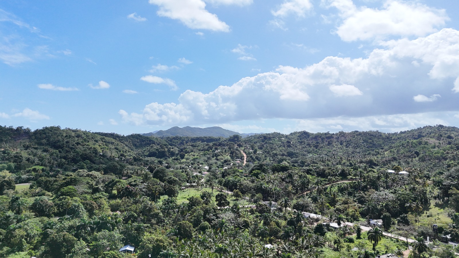 11,445 m² land located in El Limón, just 5 minutes by car from Playa Morón