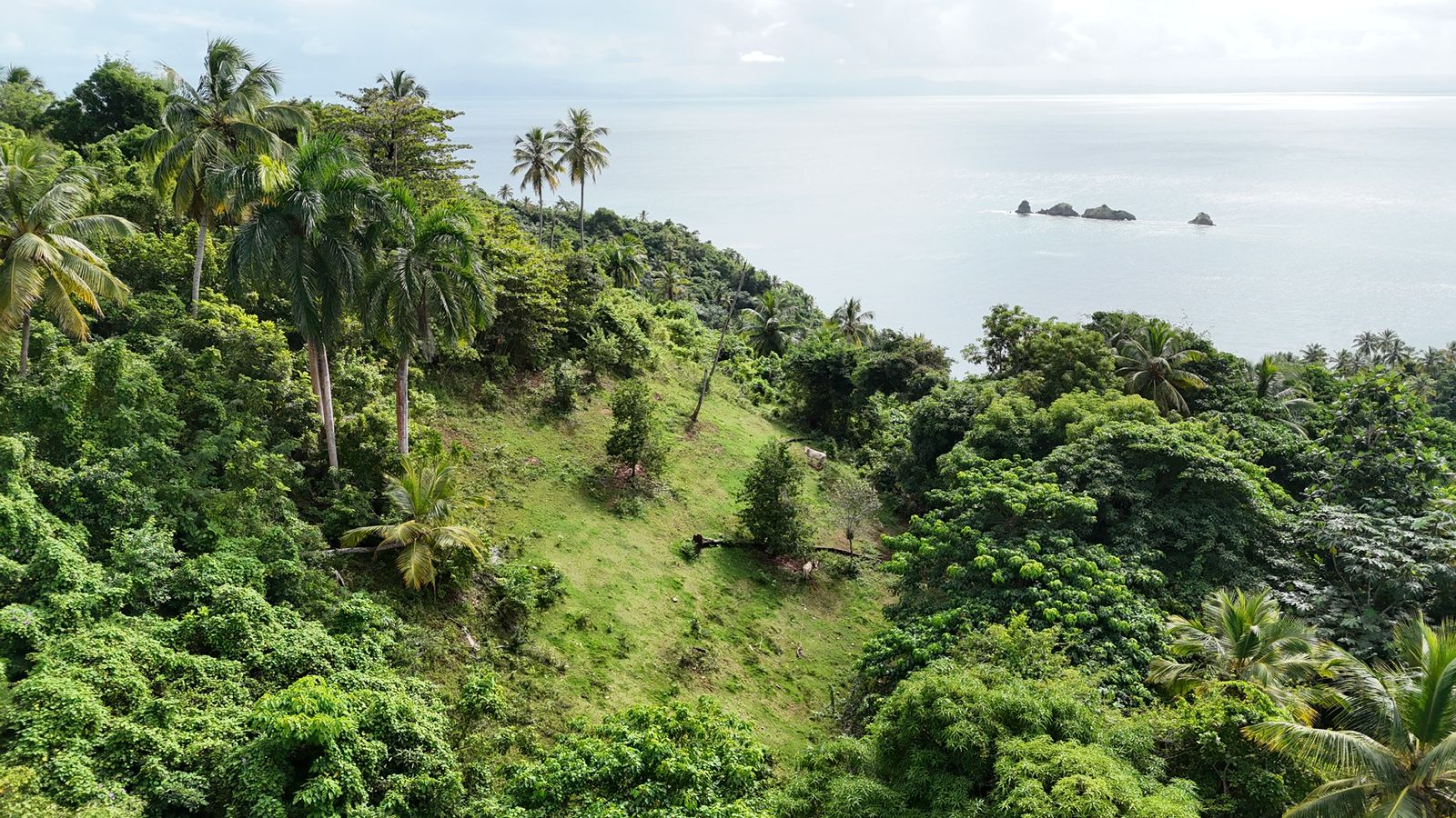 This is not just a piece of land.