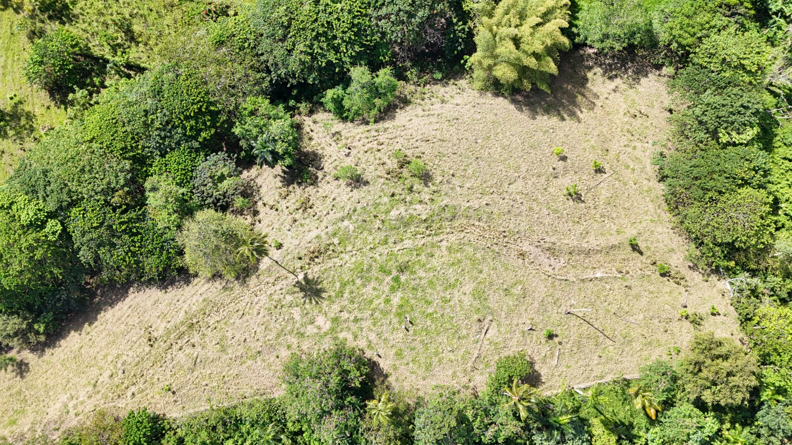 11,445 m² land located in El Limón, just 5 minutes by car from Playa Morón