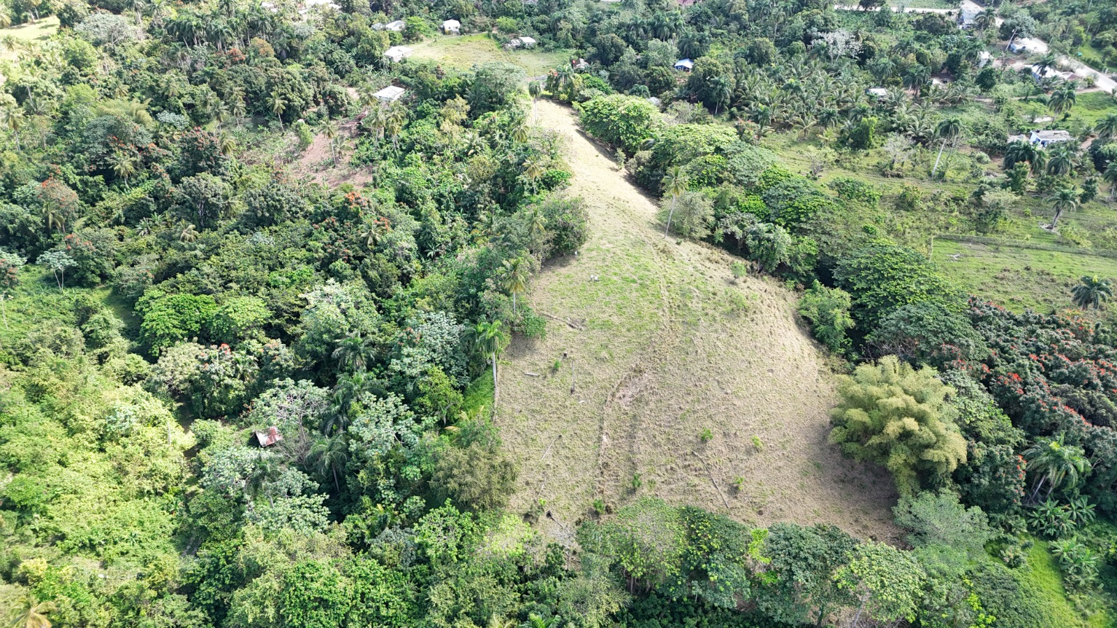 11,445 m² land located in El Limón, just 5 minutes by car from Playa Morón