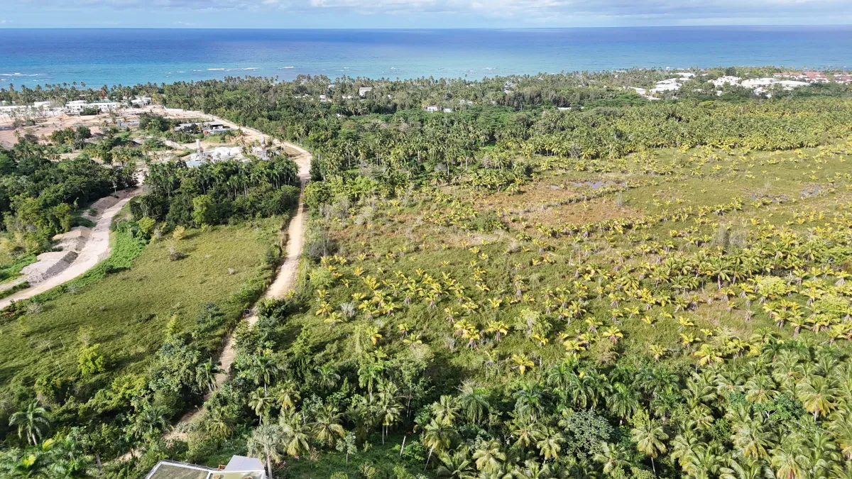 2,000 m² Lot — 5 minutes from Playa Portillo