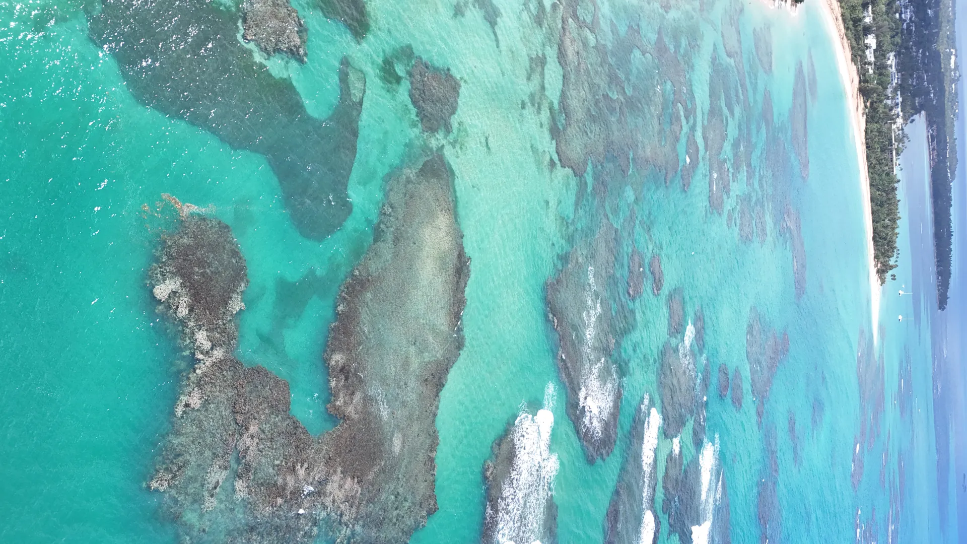 **Building Lots Near the Beach from $99,000 | Playa Ballena, Las Terrenas**