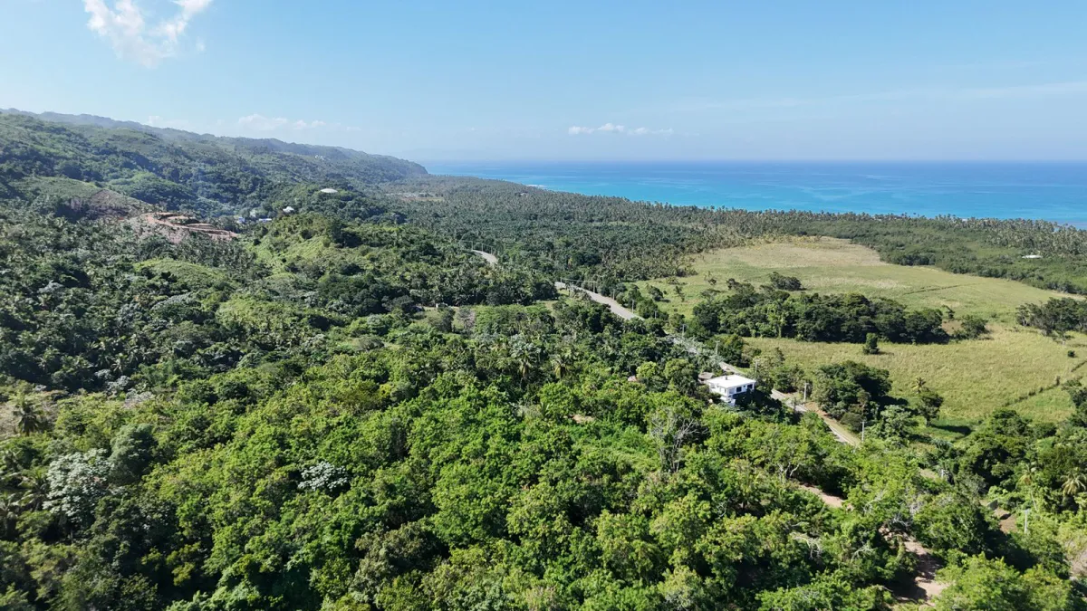 7,300 square meters in Playa Cosón.