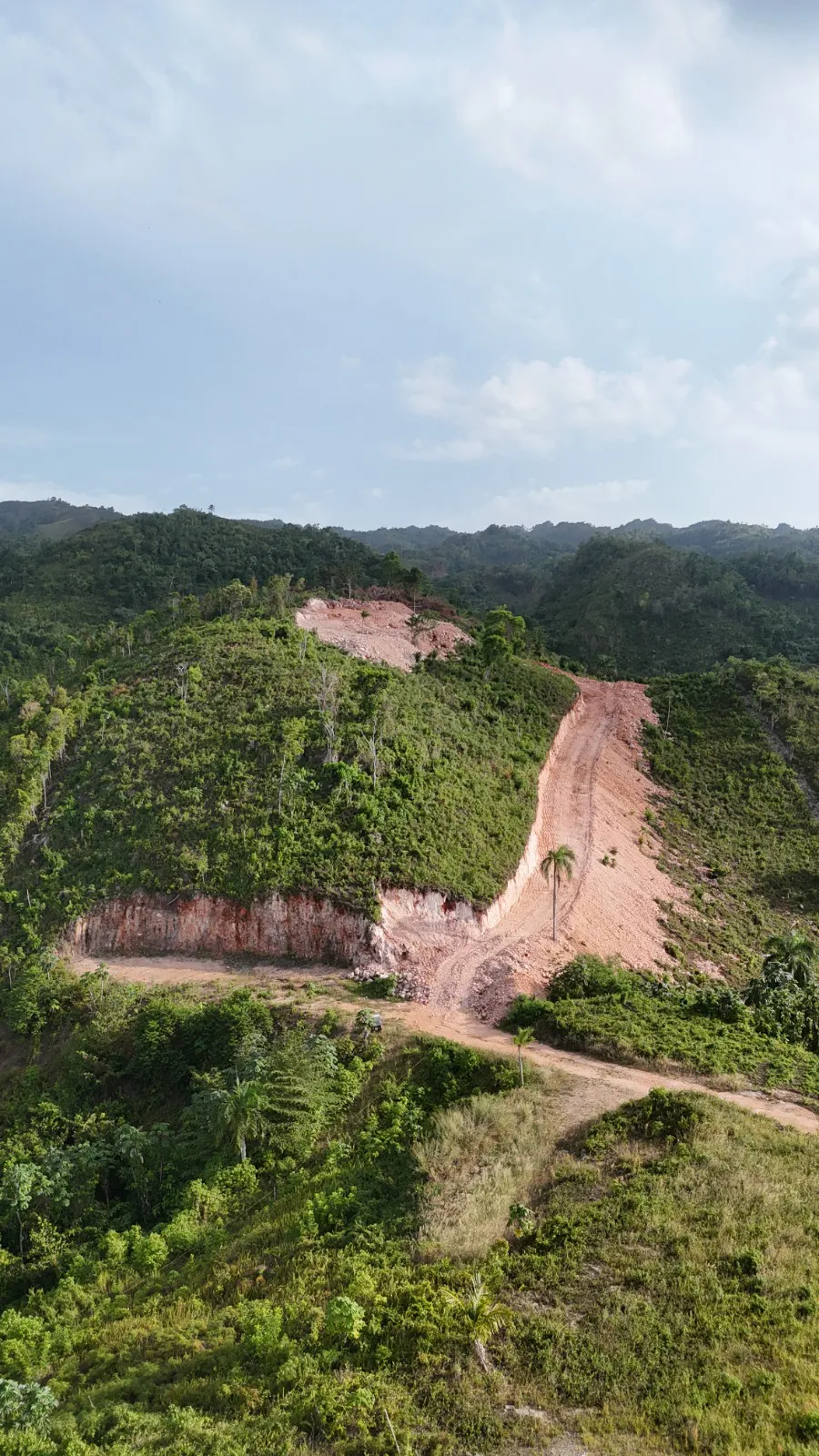 Unmatched Value at Peak Elevation: Ocean-View Lot in Playa Cosón