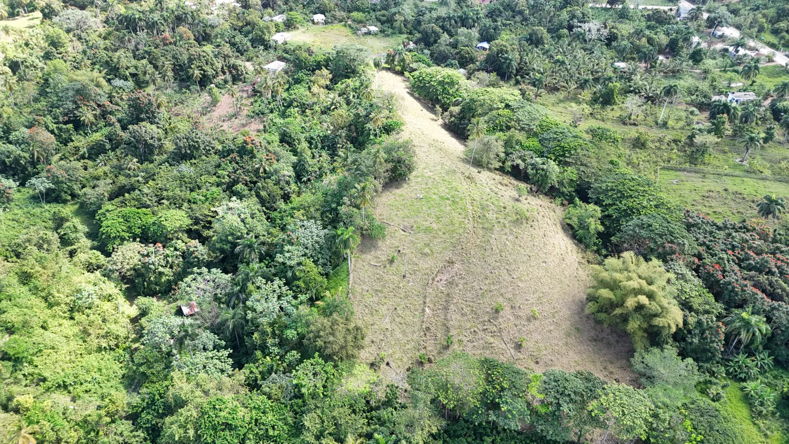 11,445 m² land located in El Limón, just 5 minutes by car from Playa Morón